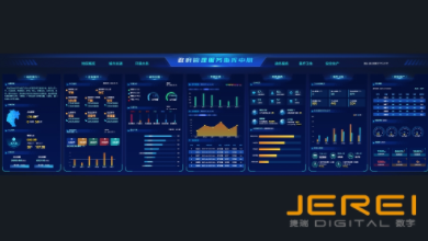 数字政府可视化