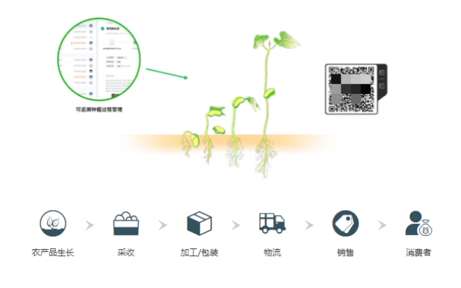 智慧农业解决方案