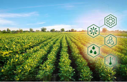 如何利用智慧农业系统实现精准农业和农产品质量提升