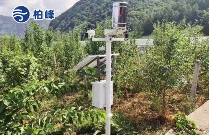 智慧农业助力传统种植养殖升级